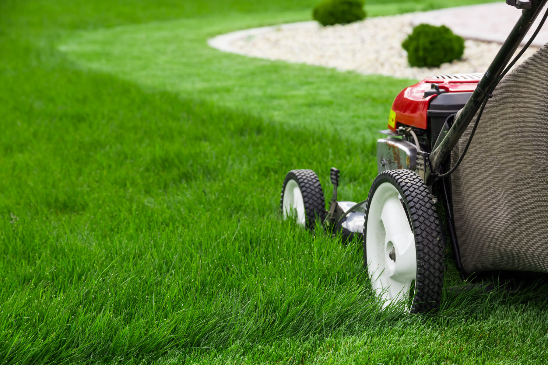 Lawn Care & Landscaping